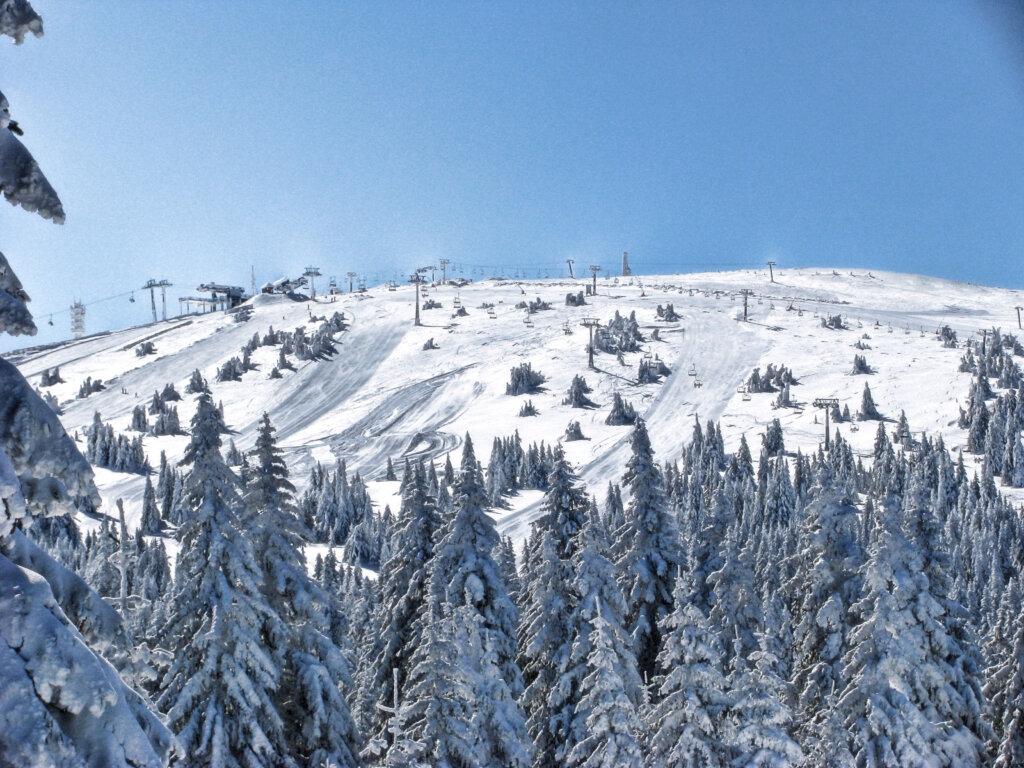 Kopaonik