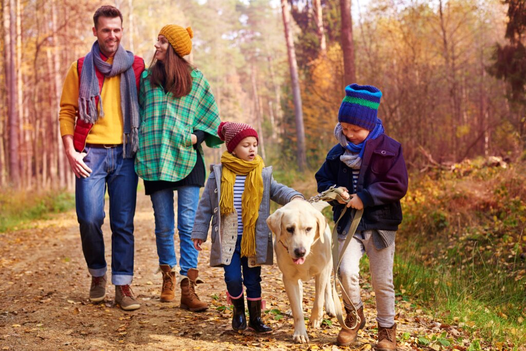 Walking with all family autumn season