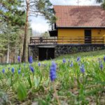 Kuća na planini – Divčibare